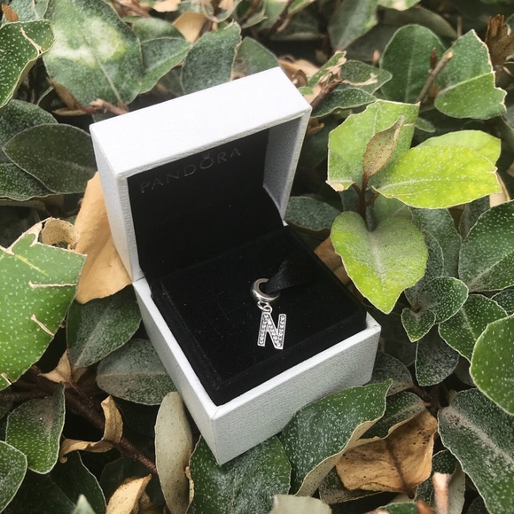 charm pandora n charm pandora n